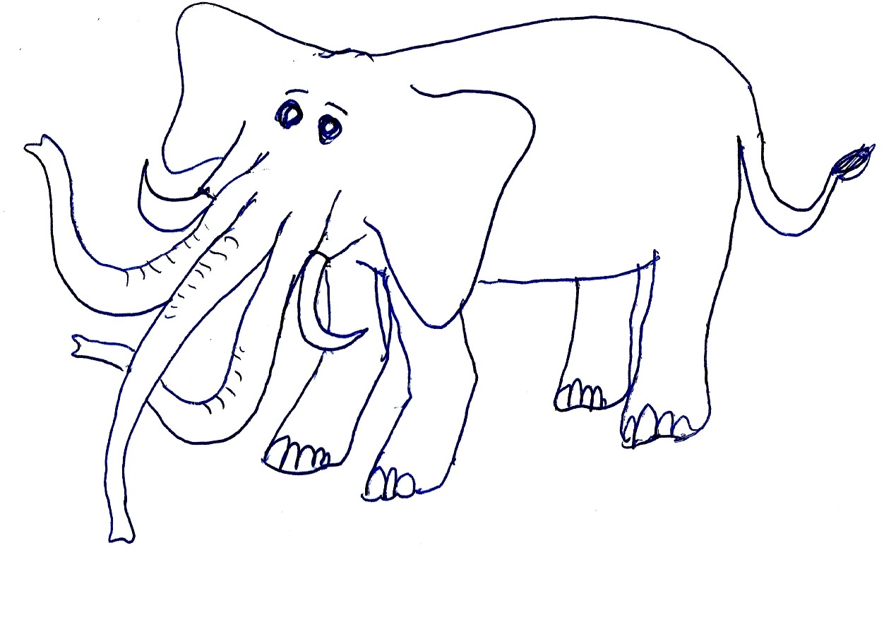 Animals - Polyfant 3 serie
